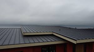 Best Emergency Roof Repair Services  in Eatonville, WA